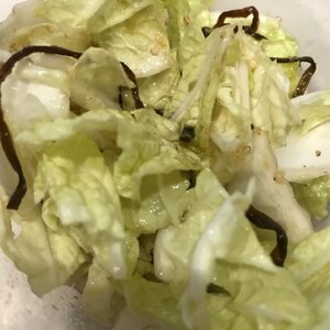 白菜大量消費！白菜と塩昆布のサラダ